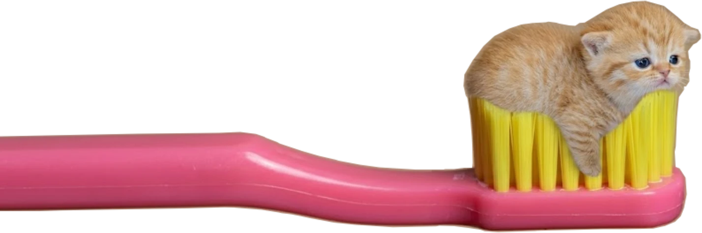 Toothpaste Cat riding a toothbrush